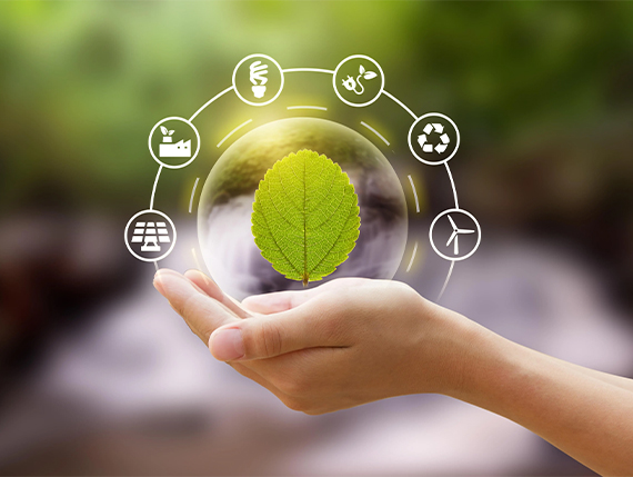 Royal Wings Hotel Galeri - 7